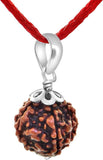 Original 5 Mukhi Rudraksha Bead